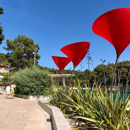 Vakantiepark Glamping Tents | Losinj | Camp Cikat Mali Lošinj